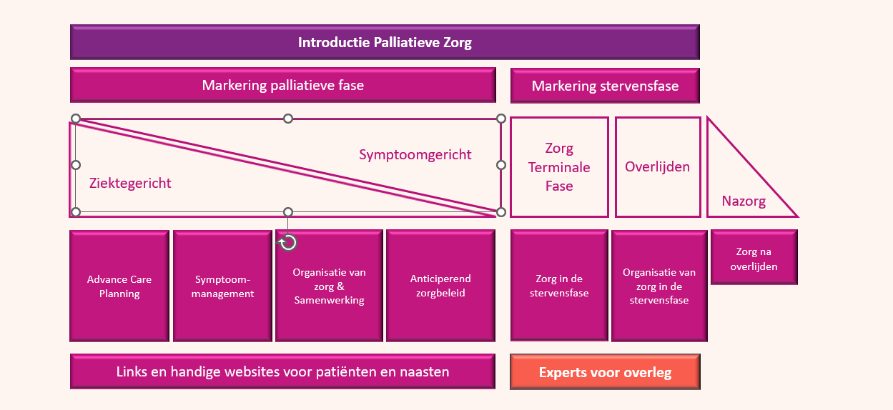 Transmuraal Zorgpad afbeelding Transmuraal zorgpad